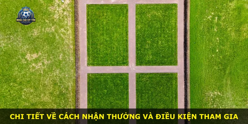 Chi tiết về cách nhận thưởng và điều kiện tham gia