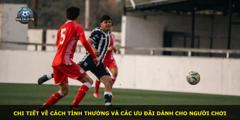 Chi tiết về cách tính thưởng và các ưu đãi dành cho người chơi