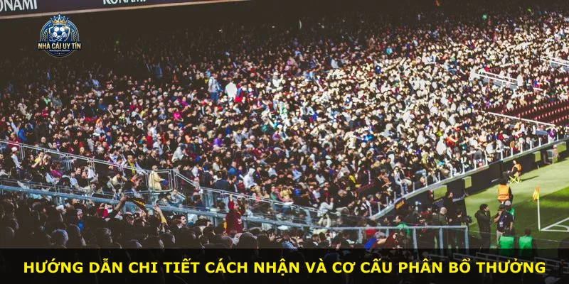 Hướng dẫn chi tiết cách nhận và cơ cấu phân bổ thưởng