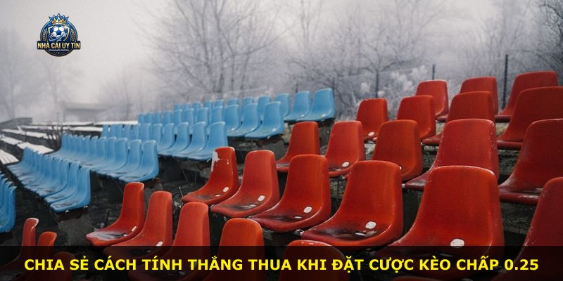 Chia sẻ cách tính thắng thua khi đặt cược kèo chấp 0.25