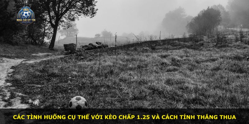 Các tình huống cụ thể với kèo chấp 1.25 và cách tính thắng thua