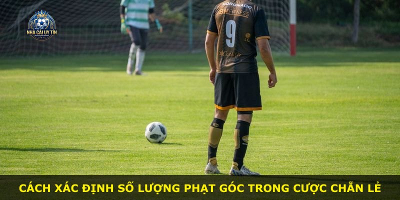 Cách xác định số lượng phạt góc trong cược chẵn lẻ