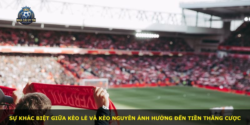 Sự khác biệt giữa kèo lẻ và kèo nguyên ảnh hưởng đến tiền thắng cược