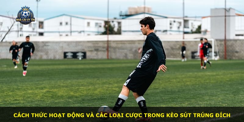 Cách thức hoạt động và các loại cược trong kèo Sút Trúng Đích