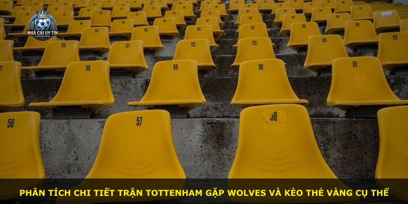Phân tích chi tiết trận Tottenham gặp Wolves và kèo thẻ vàng cụ thể
