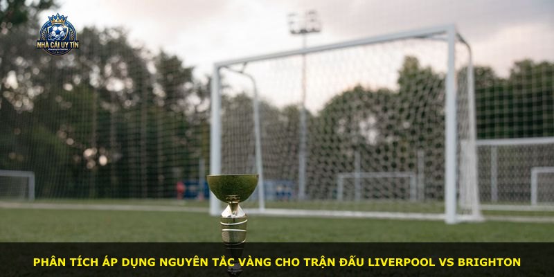 Phân tích áp dụng nguyên tắc vàng cho trận đấu Liverpool vs Brighton