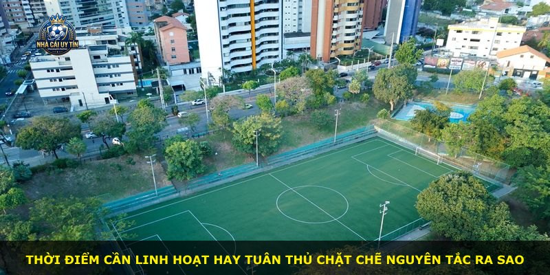 Thời điểm cần linh hoạt hay tuân thủ chặt chẽ nguyên tắc ra sao