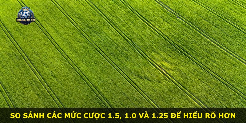 So sánh các mức cược 1.5, 1.0 và 1.25 để hiểu rõ hơn