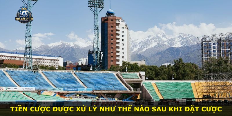 Tiền cược được xử lý như thế nào sau khi đặt cược