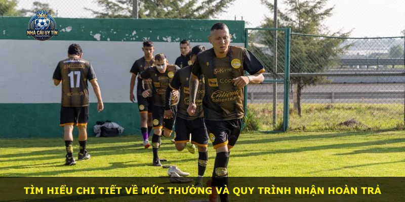 Tìm hiểu chi tiết về mức thưởng và quy trình nhận hoàn trả